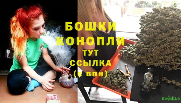 стаф Киреевск